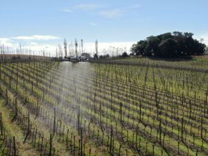 Drone pulveriza defensivos agrícolas sobre plantação organizada em linhas, em uma área rural sob céu azul.