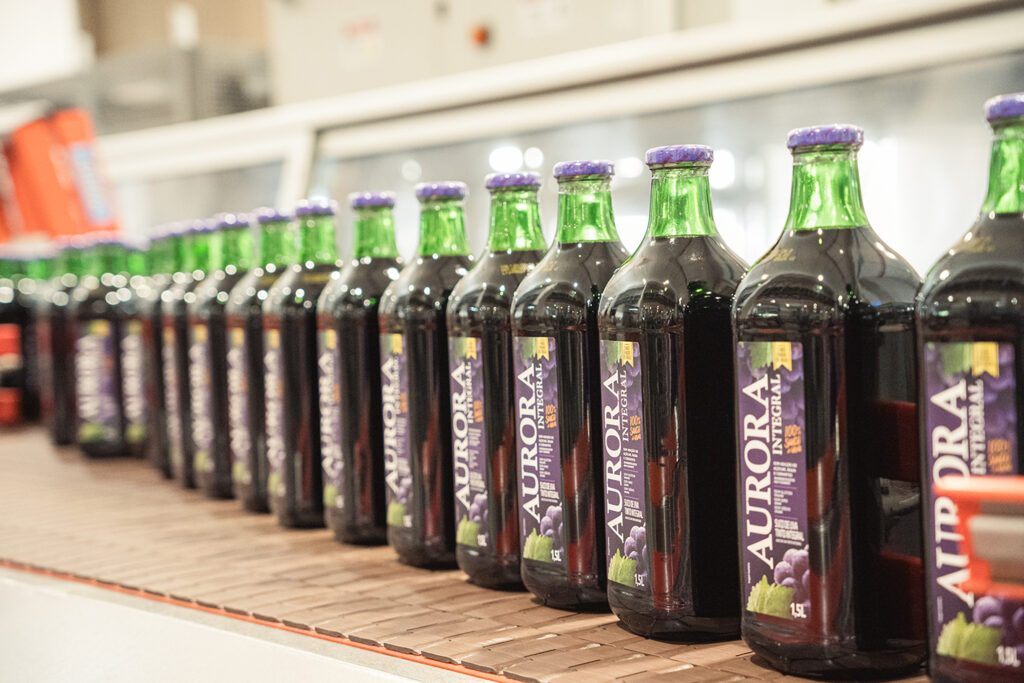Garrafas de suco de uva Aurora Integral alinhadas em esteira de produção industrial, indicando processo de envase e controle de qualidade.