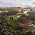 Paisagem rural com vinhedos, casa e lago em área agrícola.