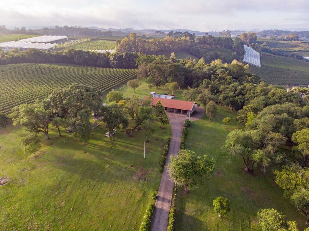 Vista aérea de vinícola cercada por vinhedos e áreas verdes.