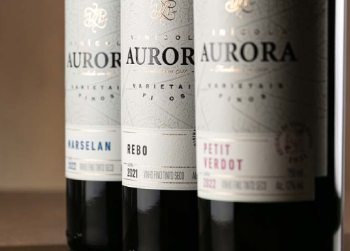 Como escolher vinho: dicas para analisar na hora da compra