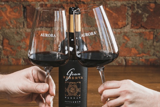 Taninos do vinho: o que são e como afetam o sabor