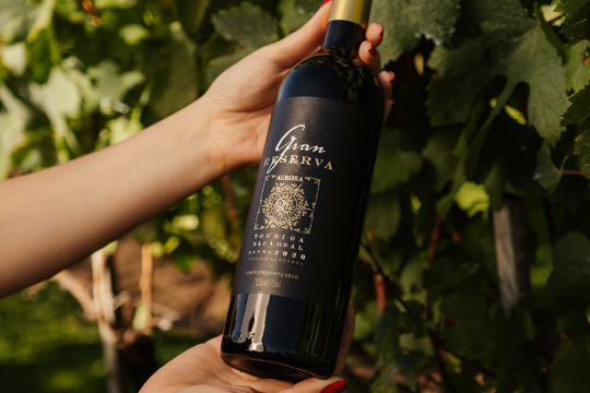 Vinho para presente: dicas para acertar na escolha